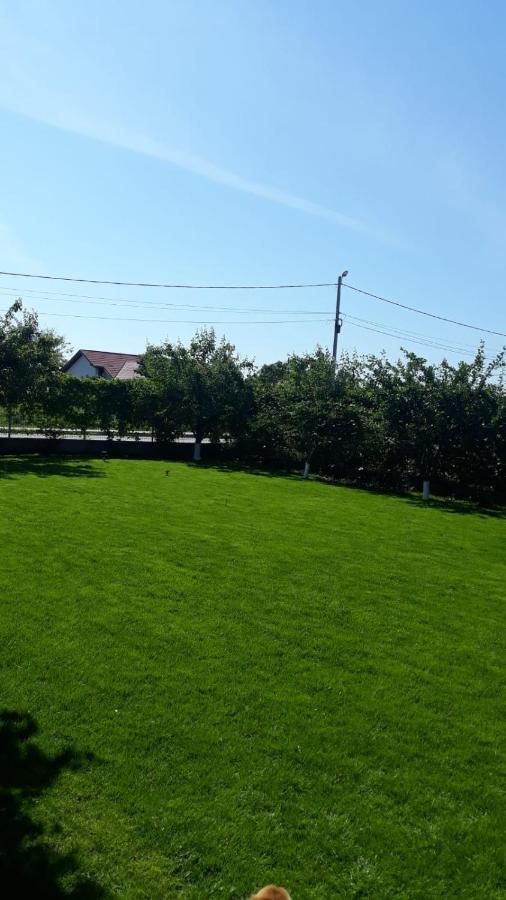 Vila Alexa كوستِنيست المظهر الخارجي الصورة