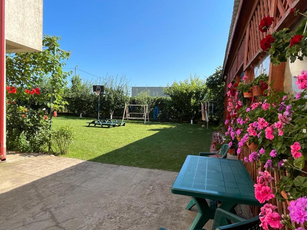 Vila Alexa كوستِنيست المظهر الخارجي الصورة