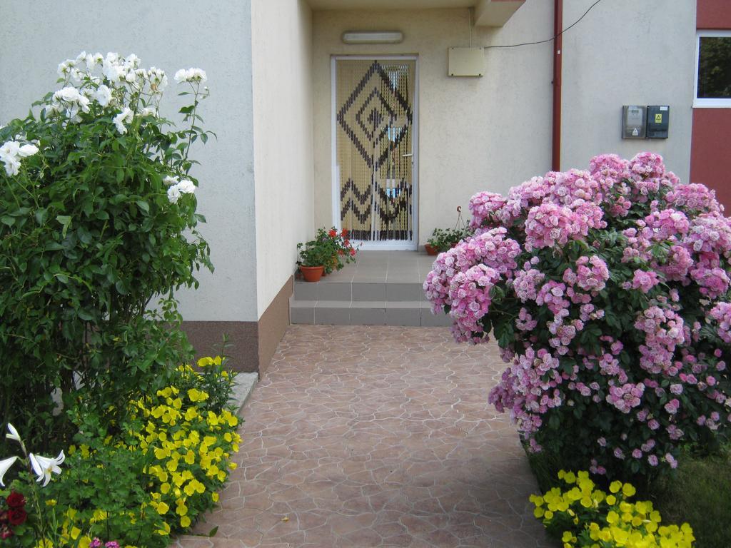 Vila Alexa كوستِنيست المظهر الخارجي الصورة